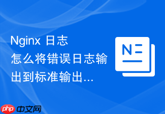 nginx 日志怎么将错误日志输出到标准输出便于容器化收集