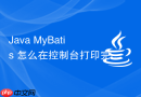 Java MyBatis 怎么在控制台打印完整的可执行 SQL 语句