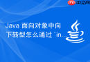Java 面向对象中向下转型怎么通过 `instanceof` 安全转换