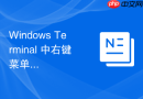 Windows Terminal 中右键菜单怎么添加到系统快捷菜单中