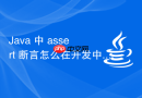 Java 中 assert 断言怎么在开发中调试