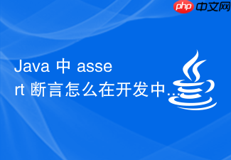 java 中 assert 断言怎么在开发中调试