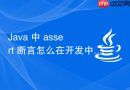 java 中 assert 断言怎么在开发中调试