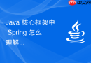 Java 核心框架中 Spring 怎么理解其核心概念与设计优势