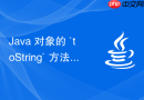 Java 对象的 `toString` 方法怎么规范重写输出信息