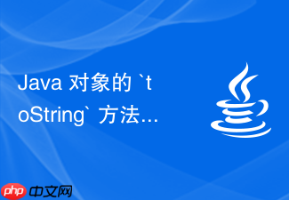 java 对象的 `tostring` 方法怎么规范重写输出信息
