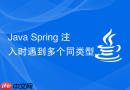 Java Spring 注入时遇到多个同类型 Bean 怎么通过 `@Qualifier` 解决
