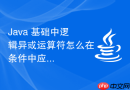 Java 基础中逻辑异或运算符怎么在条件中应用