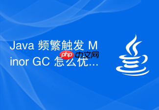 java 频繁触发 minor gc 怎么优化代码与参数