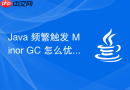 Java 频繁触发 Minor GC 怎么优化代码与参数