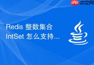 redis 整数集合 intset 怎么支持多种整数类型升级