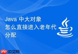java 中大对象怎么直接进入老年代分配