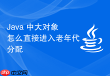 Java 中大对象怎么直接进入老年代分配