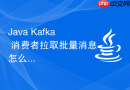 Java Kafka 消费者拉取批量消息怎么优化处理性能
