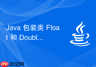java 包装类 float 和 double 的 `nan` 怎么在计算中判断