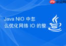 Java NIO 中怎么优化网络 IO 的整体运行效率