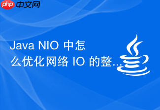 java nio 中怎么优化网络 io 的整体运行效率