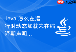 java 怎么在运行时动态加载未在编译期声明的外部模块