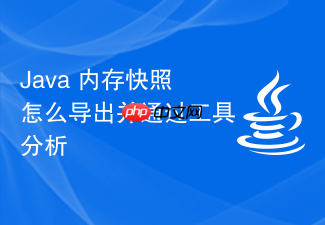 java 内存快照怎么导出并通过工具分析