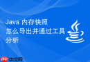 Java 内存快照怎么导出并通过工具分析