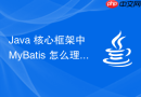 java 核心框架中 mybatis 怎么理解其 orm 映射原理