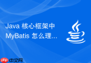 Java 核心框架中 MyBatis 怎么理解其 ORM 映射原理