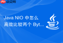 java nio 中怎么高效比较两个 bytebuffer 的内容
