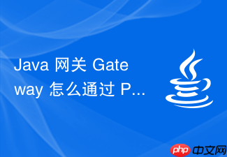 java 网关 gateway 怎么通过 predicate 断言匹配请求路径