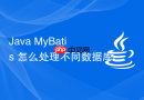 Java MyBatis 怎么处理不同数据库厂商的 SQL 兼容问题