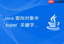 Java 面向对象中 `super` 关键字怎么访问父类成员