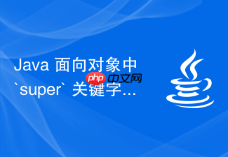java 面向对象中 `super` 关键字怎么访问父类成员