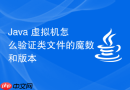 Java 虚拟机怎么验证类文件的魔数和版本