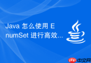 Java 怎么使用 EnumSet 进行高效的位图运算