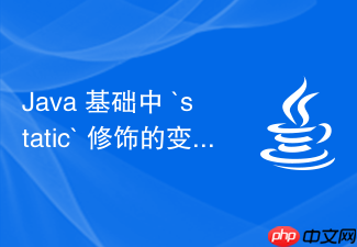 java 基础中 `static` 修饰的变量和方法怎么使用