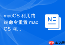 macos 利用终端命令重置 macos 网络服务状态