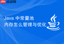 Java 中常量池内存怎么管理与优化