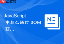 javascript 中怎么通过 bom 获取浏览器的语言与时区信息