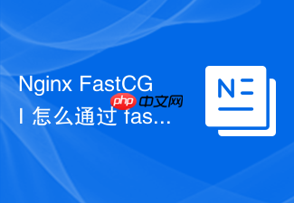 nginx fastcgi 怎么通过 fastcgi_param 传递自定义环境变量