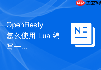 openresty 怎么使用 lua 编写一个简易的 api 网关限流器