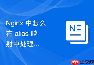 nginx 中怎么在 alias 映射中处理特殊字符和空格导致的访问失败