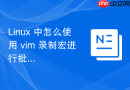 linux 中怎么使用 vim 录制宏进行批量文本处理