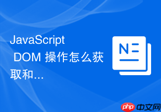 javascript dom 操作怎么获取和设置表单输入框的值