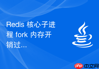 redis 核心子进程 fork 内存开销过大怎么通过大页内存排查