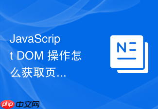 javascript dom 操作怎么获取页面中所有同名的输入框集合