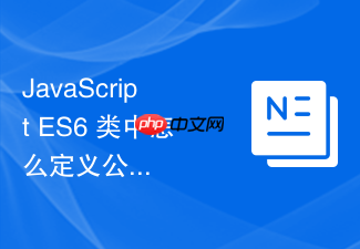 javascript es6 类中怎么定义公共实例字段以及为什么推荐写在类顶层
