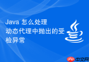 Java 怎么处理动态代理中抛出的受检异常