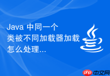 Java 中同一个类被不同加载器加载怎么处理