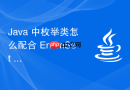 java 中枚举类怎么配合 enumset 进行高效存储