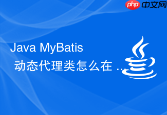 java mybatis 动态代理类怎么在 spring 容器中被注入