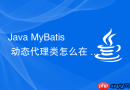 Java MyBatis 动态代理类怎么在 Spring 容器中被注入